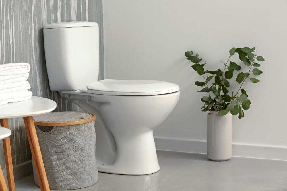 sanitaire